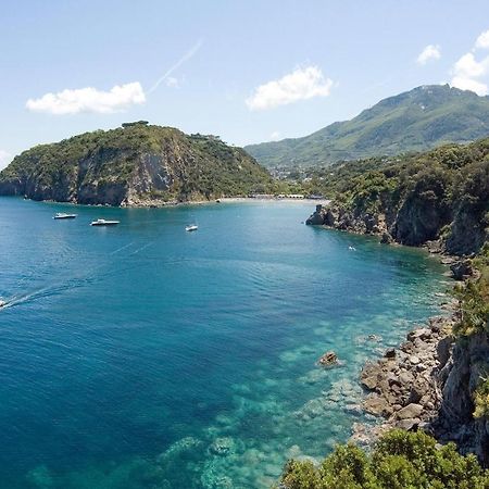 Pet Friendly Home In Ischia With Wifi Luaran gambar