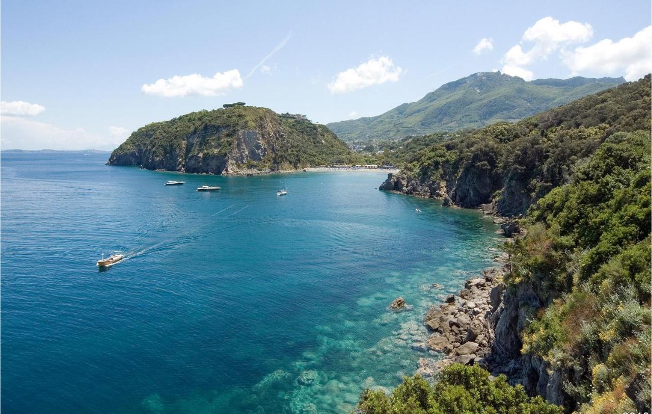 Pet Friendly Home In Ischia With Wifi Luaran gambar